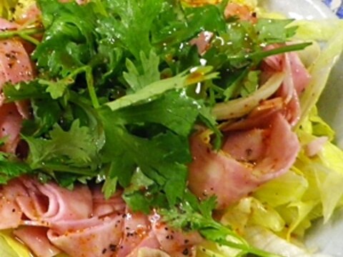 レタス香菜ビアソーのスパイシーサラダ